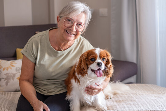 Mature adult woman sitting comfortably on a couch with her beloved cavalier king charles spaniel dog. Both smiling at the camera