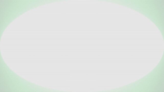 Old green terminal CRT monitor turn off collapse screen effect seamless loop horizontal overlay 4k