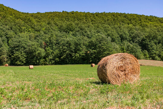 View of meadow in Colfiorito