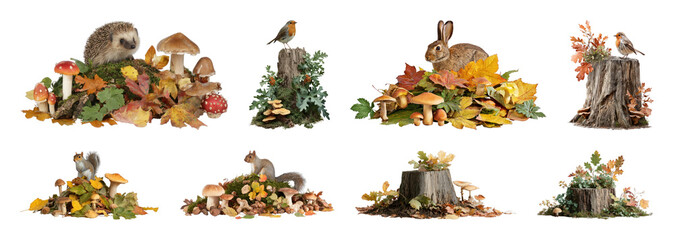 Naklejka premium PNG Woodland animals among autumn leaves and mushrooms, transparent background