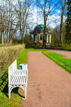 White bench invites quiet moments in park