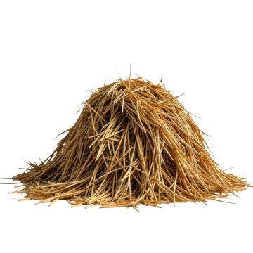 A stack of hay sits on a clean white surface