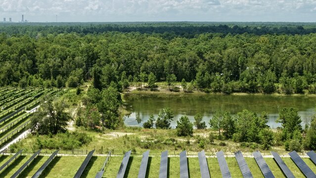 Aerial view of Magnolia Solar Farm with rows of solar panels, a small pond, and lush surrounding forest in Green Cove Springs, Florida, United States.