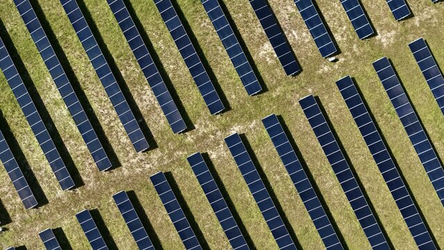 Aerial view of Magnolia Solar Farm with rows of photovoltaic panels arranged on a grassy field in Green Cove Springs, Florida, United States.