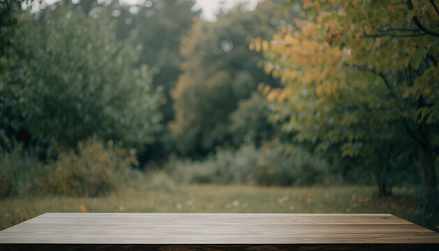 Rustic wooden tabletop foreground with soft focus early fall trees
