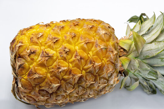 Pineapple fruit fresh tropical closeup on white.