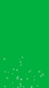 Vertical realistic underwater bubbles rising animation on green screen chroma key video overlay 4k