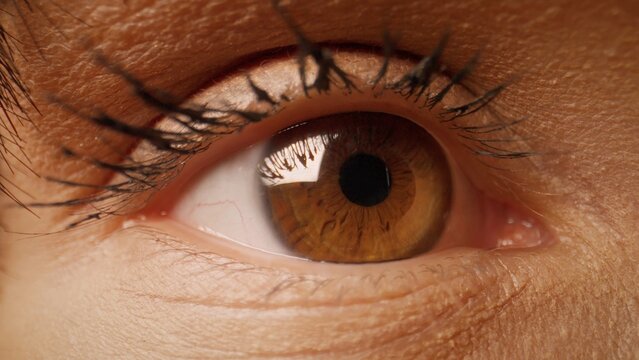 Extreme close-up of a human brown eye showing intricate iris details and eyelashes