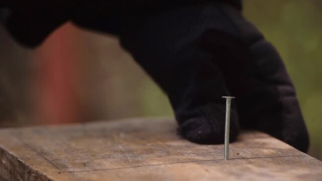 Close-up angled view of a person hammering a metal nail into a wooden board using a traditional claw hammer, capturing a common carpentry and DIY construction task.
