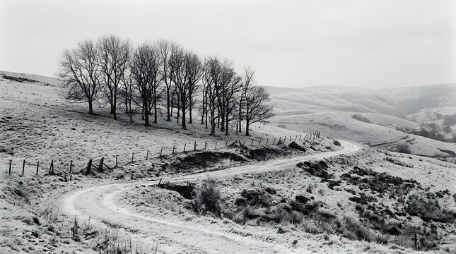 Monochromatic Bare Winter Trees Standing On Rolling Hill Slope Cold Frosty Seasonal Landscape Nature Scene trees hill winter photo toning landscape bare branches snow cold frost season scenery rural