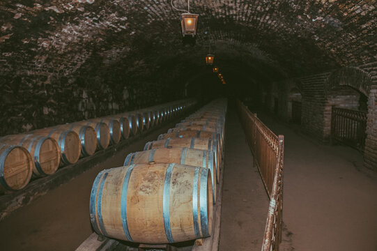 Wine barrels in a old cellar at winery.