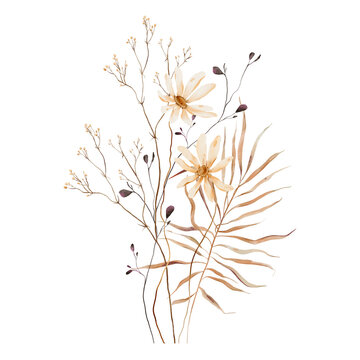 Hand painted watercolor botanical illustration boho-style floral bouquet in soft beige and warm brown tones. Bohemian composition stylized daisy-like blooms, wispy meadow grasses and dried palm frond