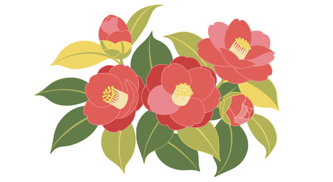 Camellia floral arrangement a flat vector illustration with green leaves