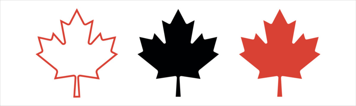 Maple leaf vector set, red and black foliage icons, 3 nature symbols