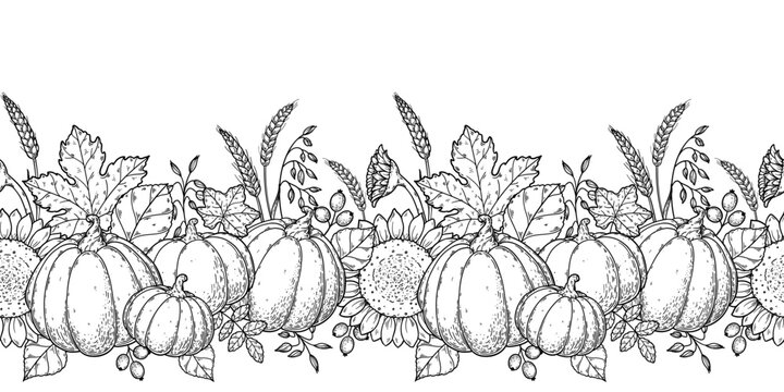 Autumn harvest border with pumpkins, sunflowers, wheat and leaves coloring illustration. Horizontal seamless border. Vector illustration.