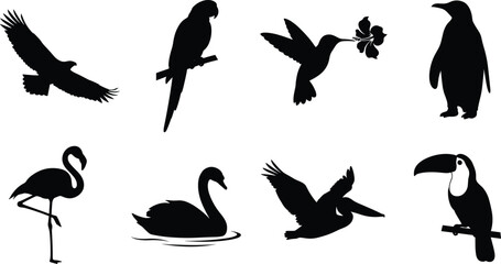 Naklejka premium Collection of diverse wild bird silhouettes in flat black design including eagle parrot and flamingo