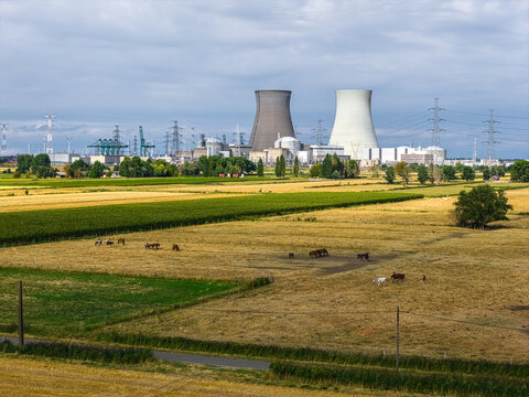 Aerial view of the Doel Nuclear Power Plant with its iconic cooling towers rising above the surrounding agricultural fields and grazing horses in Beveren, Vlaanderen, Belgium.
