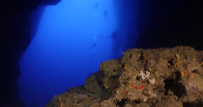 scuba divers are starting a cave dive underwater