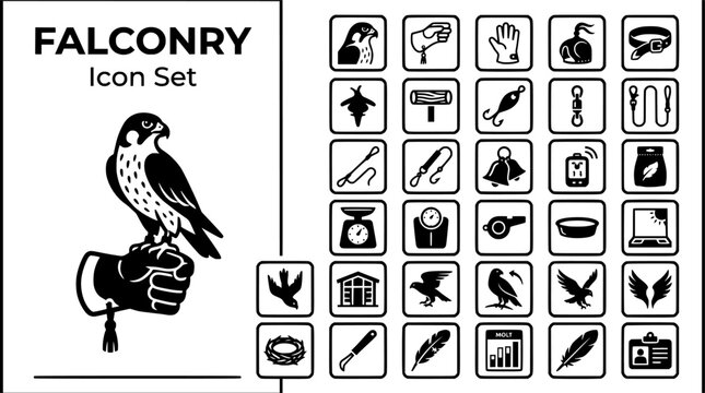 Falconry Bird of Prey Icon Set Falcon Gauntlet Hood Jess Perch Lure Swivel Bells Telemetry Mews Training Vector