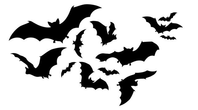 Black bat silhouettes flying in a swarm isolated on white background for Halloween design.