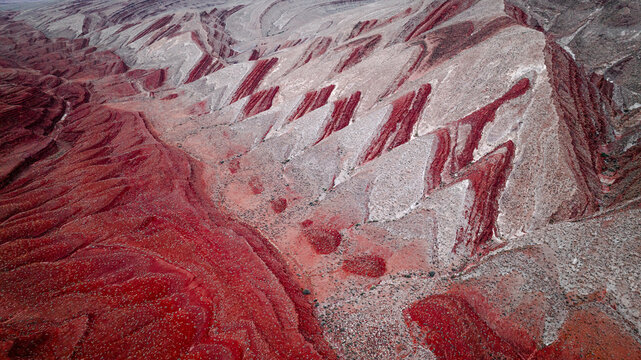 Aerial view of striking red and white sandstone rock formations in the desert landscape near Moab, Utah, United States.