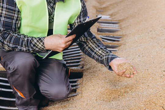 Agricultural worker inspecting grain quality at a granary elevator, holding a clipboard and wheat in hand
