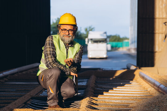 Agricultural worker checking grain quality at an industrial granary elevator with truck delivering harvest