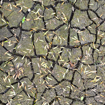 Seeds on mud cracks background