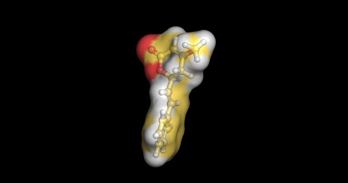 DL-Kavain, major psychoactive kavalactone and GABA-A receptor modulator from kava root possessing anxiolytic and muscle-relaxant properties, 3D molecule spinning, 4K  