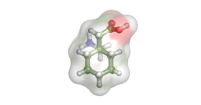 Gabapentin, GABA analogue and voltage-gated calcium channel alpha-2-delta ligand used for neuropathic pain and partial-onset seizures, 3D molecule 4K