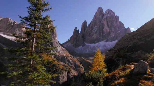 Flying close between larch and pine trees towards Croda dei Toni mountain in the Italian Dolomites