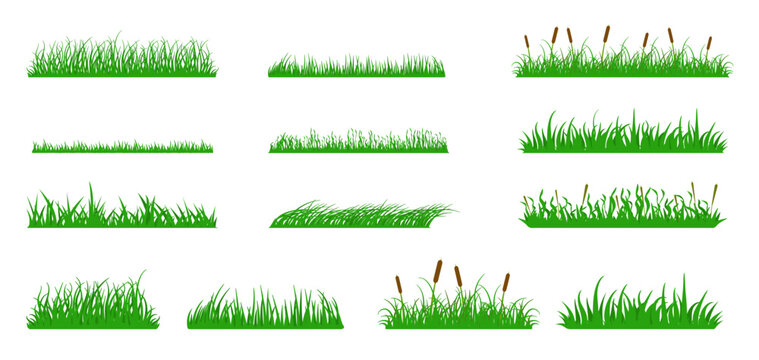 Green grass borders set. Nature seasonal lawn elements, field herbs, reeds and cattails, fresh meadow tufts. Garden grass divider vector illustration set. Public park and outdoor landscape elements
