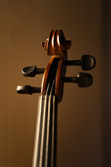 Vertical Close Up View of Classical Violin Scroll and Tuning Pegs © Mateo