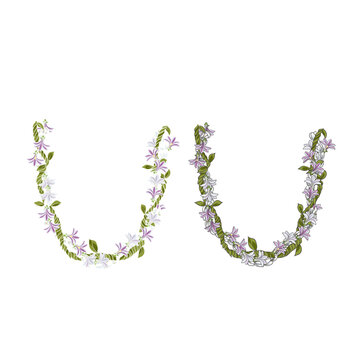 Hand Drawn Hawaiian Naupaka Flower Lei Necklace Botanical Vector Illustration