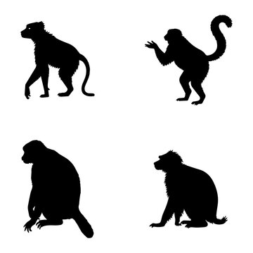 Monkey Silhouette Collection &ndash; Primate Animal Shapes