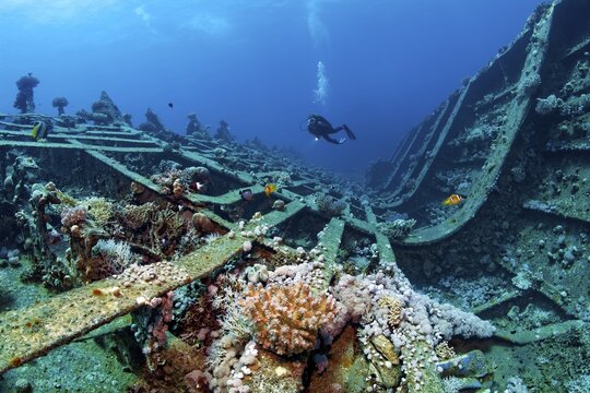Diver explores shipwreck Giannis D, also a timber freighter, launched in 1969 as Shoyo Maru in Japan, sank on 19.04.1983 due to navigation errors on Shab Abu Nuhas coral reef, Red Sea, Egypt