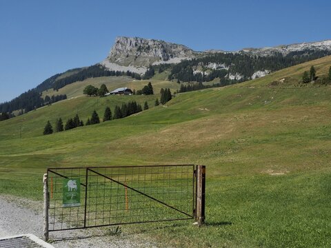 A gate with a warning sign for suckler cows at the entrance to an extensive meadow landscape with a mountain behind it, UNESCO Entlebuch Biosphere, Switzerland