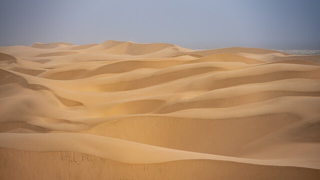 Sand dunes with wave patterns, dune sea, sandy desert, impressive desert landscape, Namib Naukluft Park, Namib desert, Namibia
