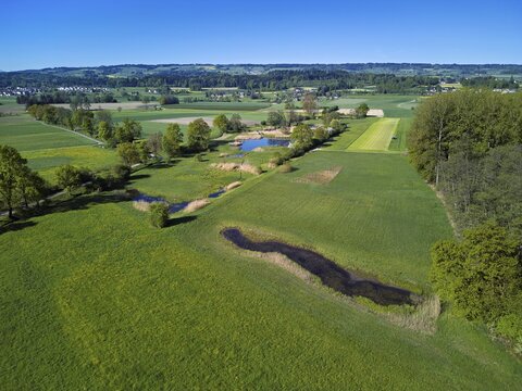 Meadows and fields and ponds, in the back of Lindenberg, Merenschwand, Reusstal, Freiamt, Canton of Aargau, Switzerland