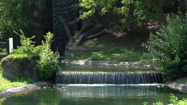 Waterfall Cascades Into A Vibrant Green Pool Surrounded By Lush, Sunlit Vegetation At The Toronto Zoo