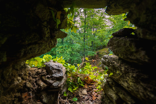 Lush Green Forest Landscape View Framed Through Old Stone Castle Window Embrasure Scenic Nature Viewpoint Historical Wall Ruin Background