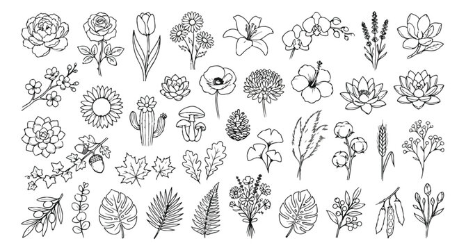 Minimalist botanical line art collection, 40 floral and leaf vector icons, hand drawn wildflower and foliage set for wedding stationery