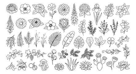 Naklejka premium Minimalist botanical line art icons, 50 hand drawn floral vector elements, black and white wildflower sketches for wedding stationery