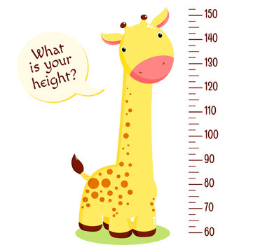 Height chart with cute baby giraffe. Kids meter with cartoon animal. Inscription - What is your height? Meter wall or baby scale of growth. Vector EPS8