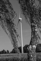 Windenergie im Münsterland © Stephan Sühling