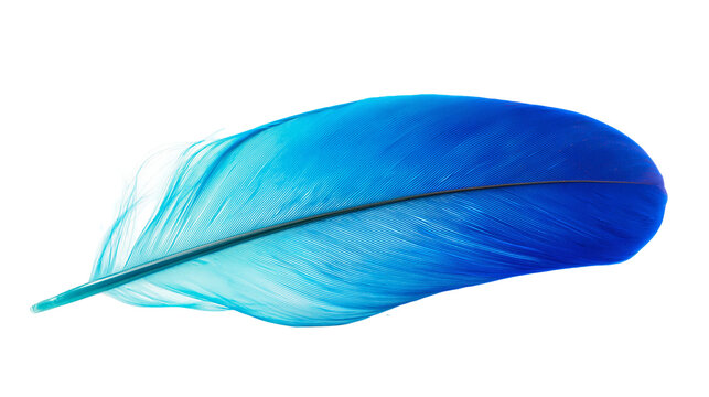 Vibrant blue feather with delicate barbs, isolated on transparent background