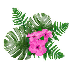 Pink hibiscus flowers and green leaves in tropical composition on white background © New Africa