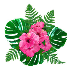 Pink hibiscus flowers and green leaves in tropical composition on white background © New Africa