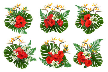 Floral compositions with hibiscus, strelitzia and plumeria flowers with green tropical leaves on white background, set © New Africa