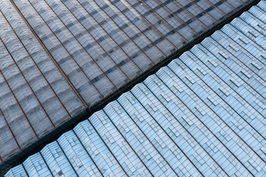 Aerial view of a large commercial glass greenhouse roof with repeating geometric patterns in Purmerend, North Holland, Netherlands.
